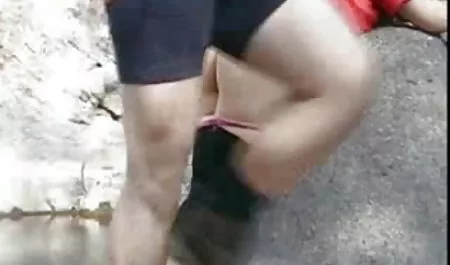 एशियाई छूत में एनिमल वीडियो के यार्ड