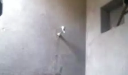 छात्र हॉट सेक्सी वीडियो