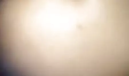 पाला xx विडियो पैर लड़की