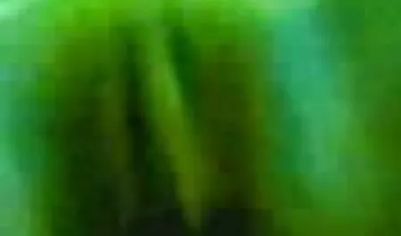 फेरेरा चूसा और दिया के सेक्सी भेजो वीडियो में माली