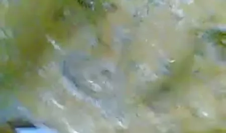 उसके स्तन घोड़ी को हिलाकर रख दिया, उसे कुत्ते शैली डाल और पिछवाड़े पोर्न video में होने