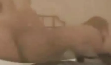 कार में विडियो डाउनलोड शौकिया