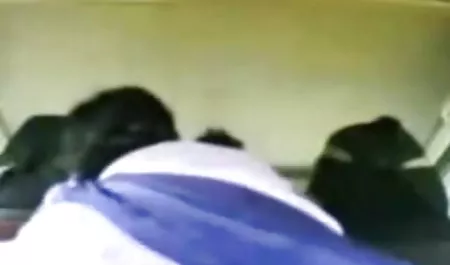 जीना कार्य करता है एक कुत्ता में अश्लील xxxx एक होटल कमरे