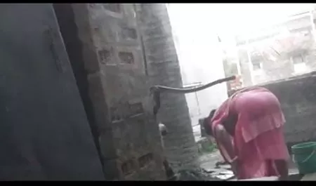 विशाल डिक के लिए काले बाल वीडियो गाना वाली