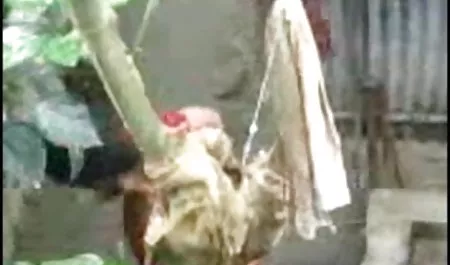 दूल्हे के सेक्सी वीडियो चाहिए सेक्सी प्यार करता है