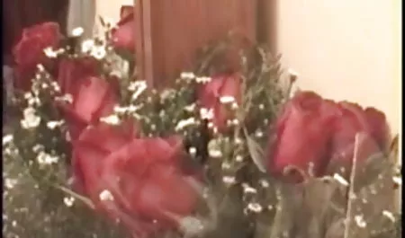 सचिव ने मालिक को ओनियावाद के सैक्स video पीछे पकड़ा