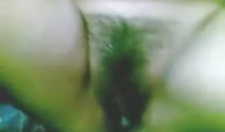 प्यार और सेक्स पर के सेक्सी वीडियो २०१६ सोफे