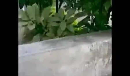 चूसा डिक से संतुष्ट सेक्स सेक्सी वीडियो आदमी